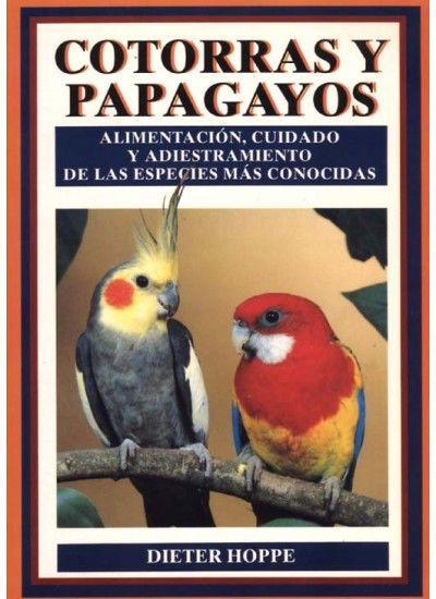 Cotorras y papagayos