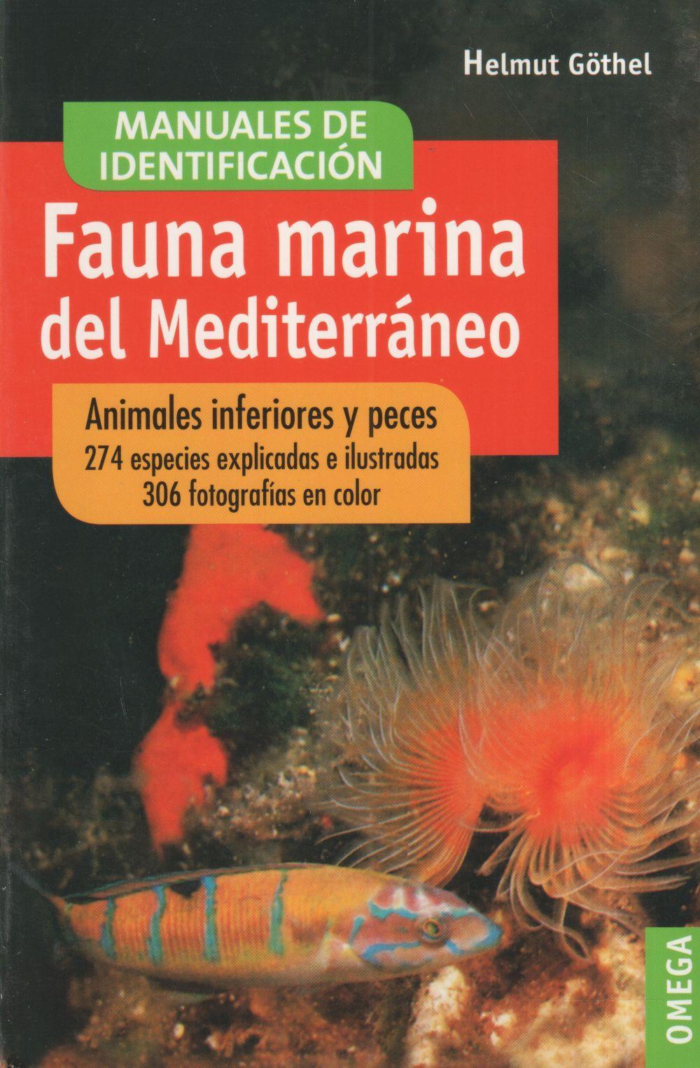 Fauna marina del Mediterráneo : animales inferiores y peces