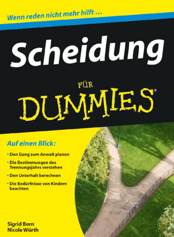 Scheidung für Dummies