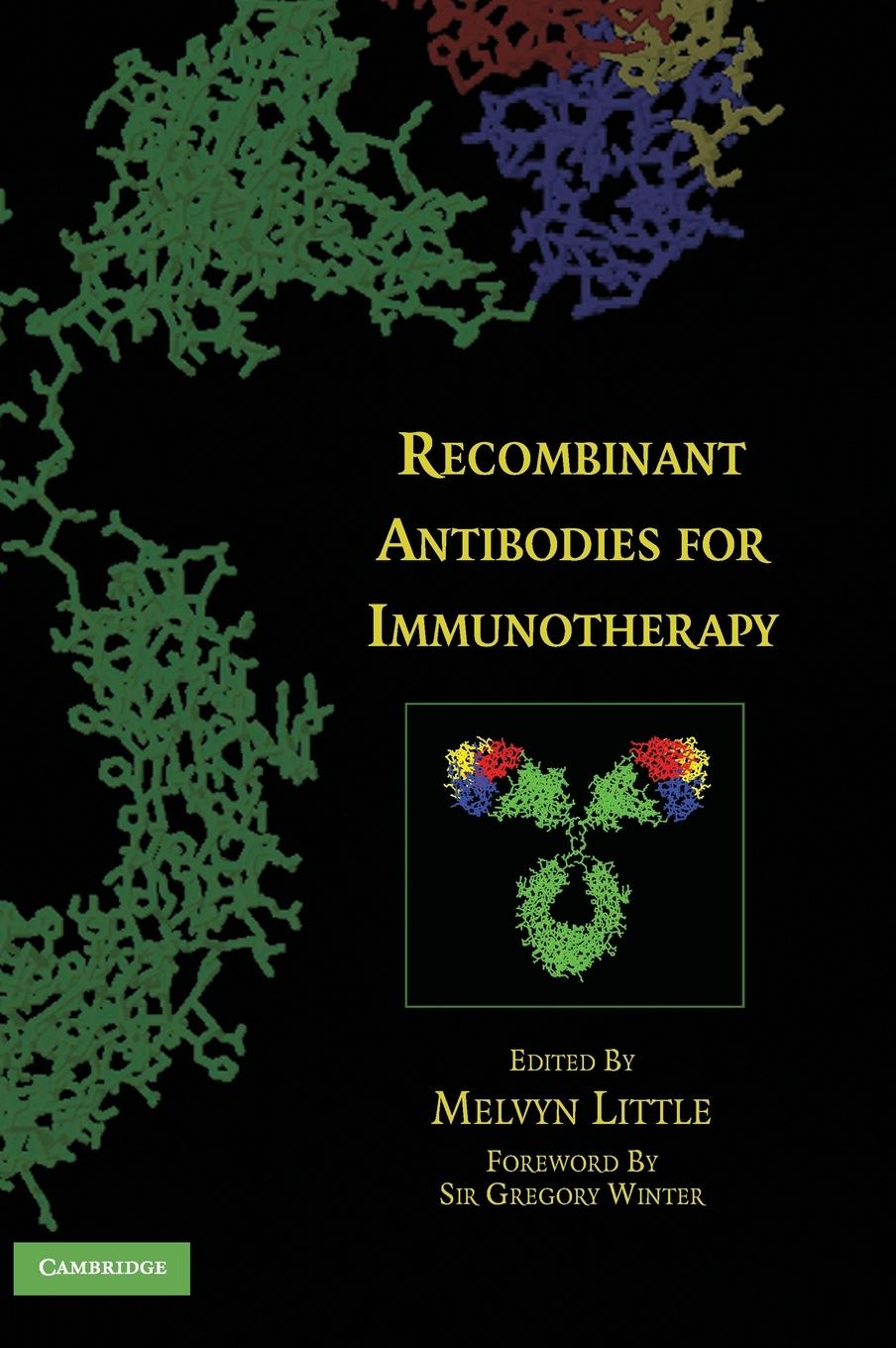 Recombinant Antibodies for Immunotherapy