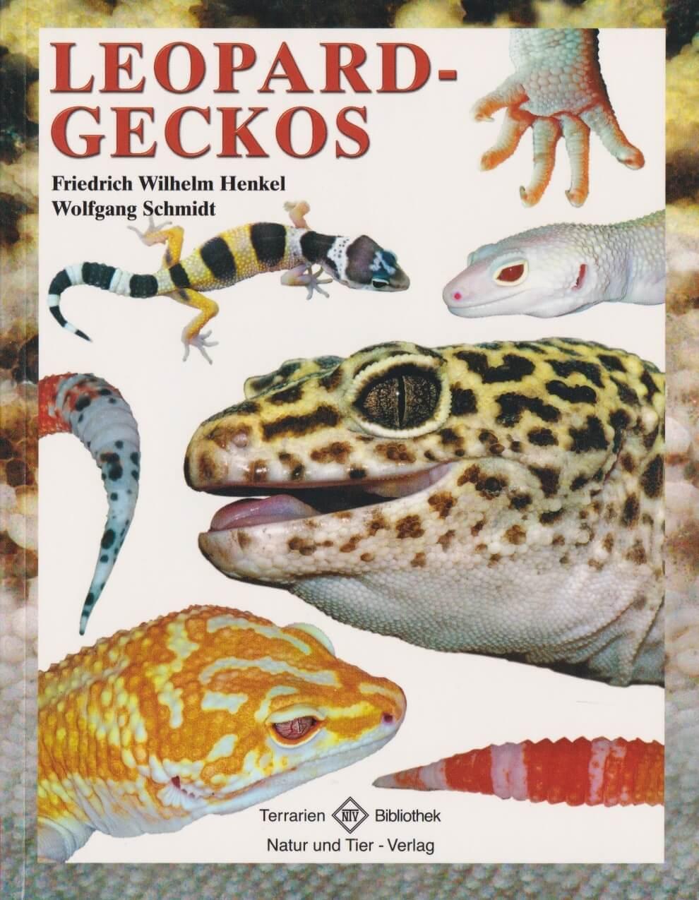 Leopardgeckos