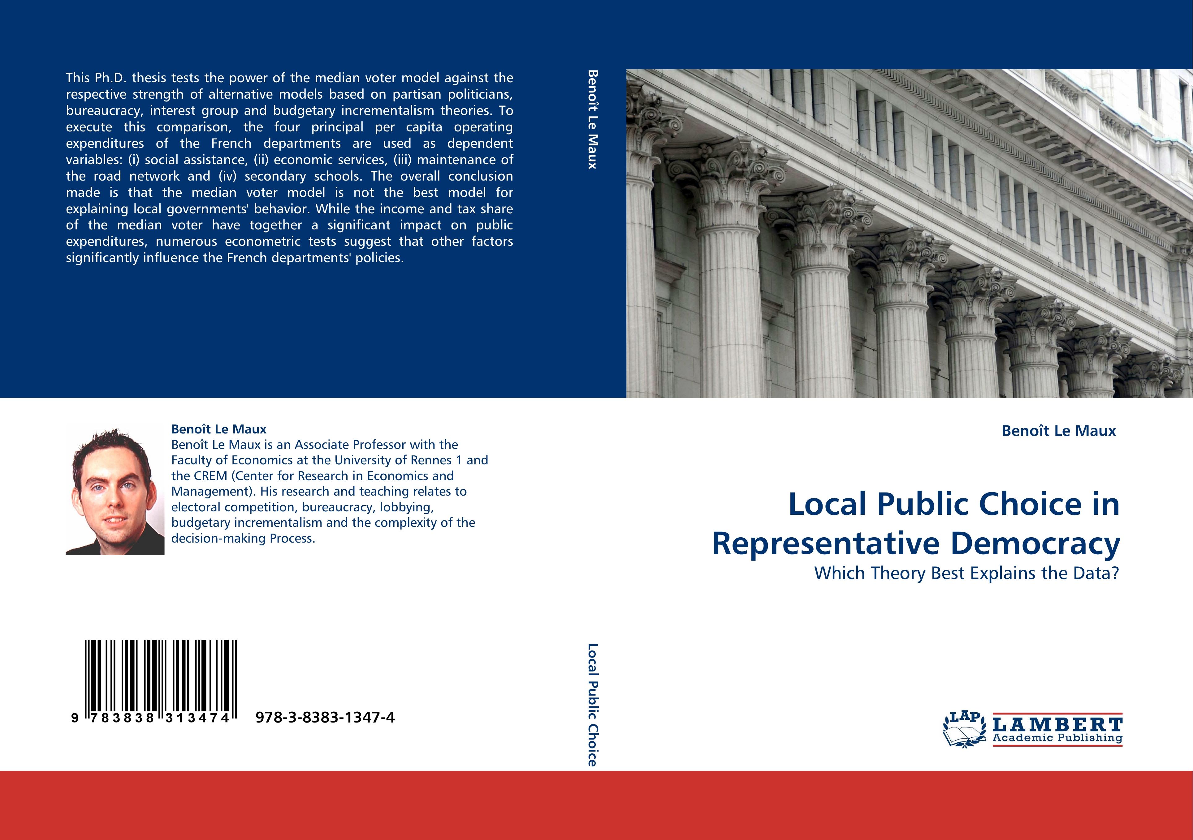 Local Public Choice in Representative Democracy