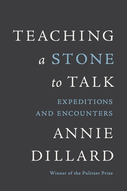 Teaching a Stone to Talk