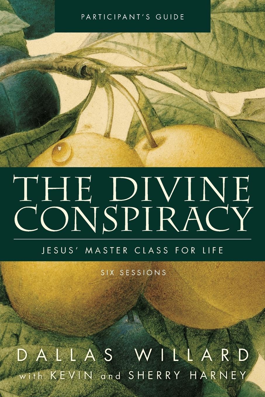 The Divine Conspiracy Participant's Guide