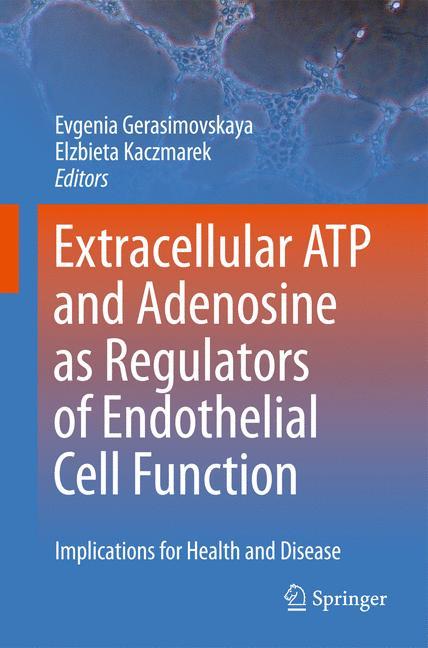 Extracellular ATP and adenosine as regulators of endothelial cell function