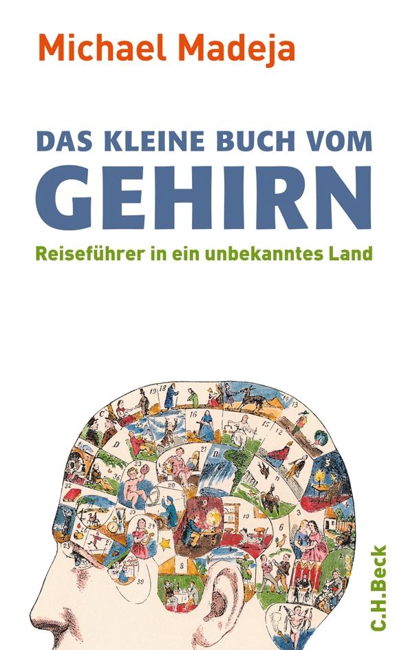 Das kleine Buch vom Gehirn