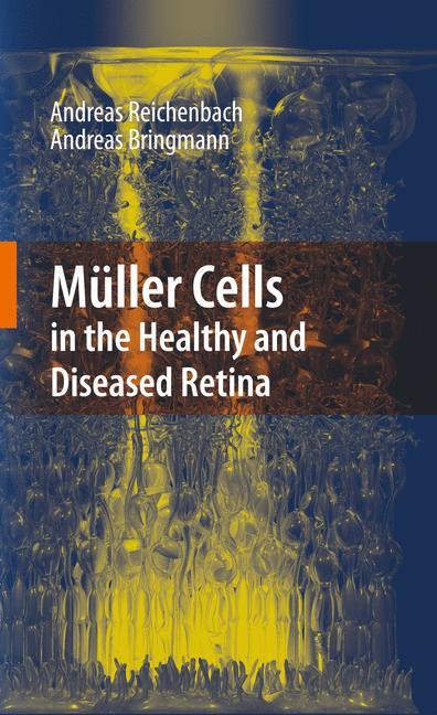 Müller Cells in the Healthy and Diseased Retina