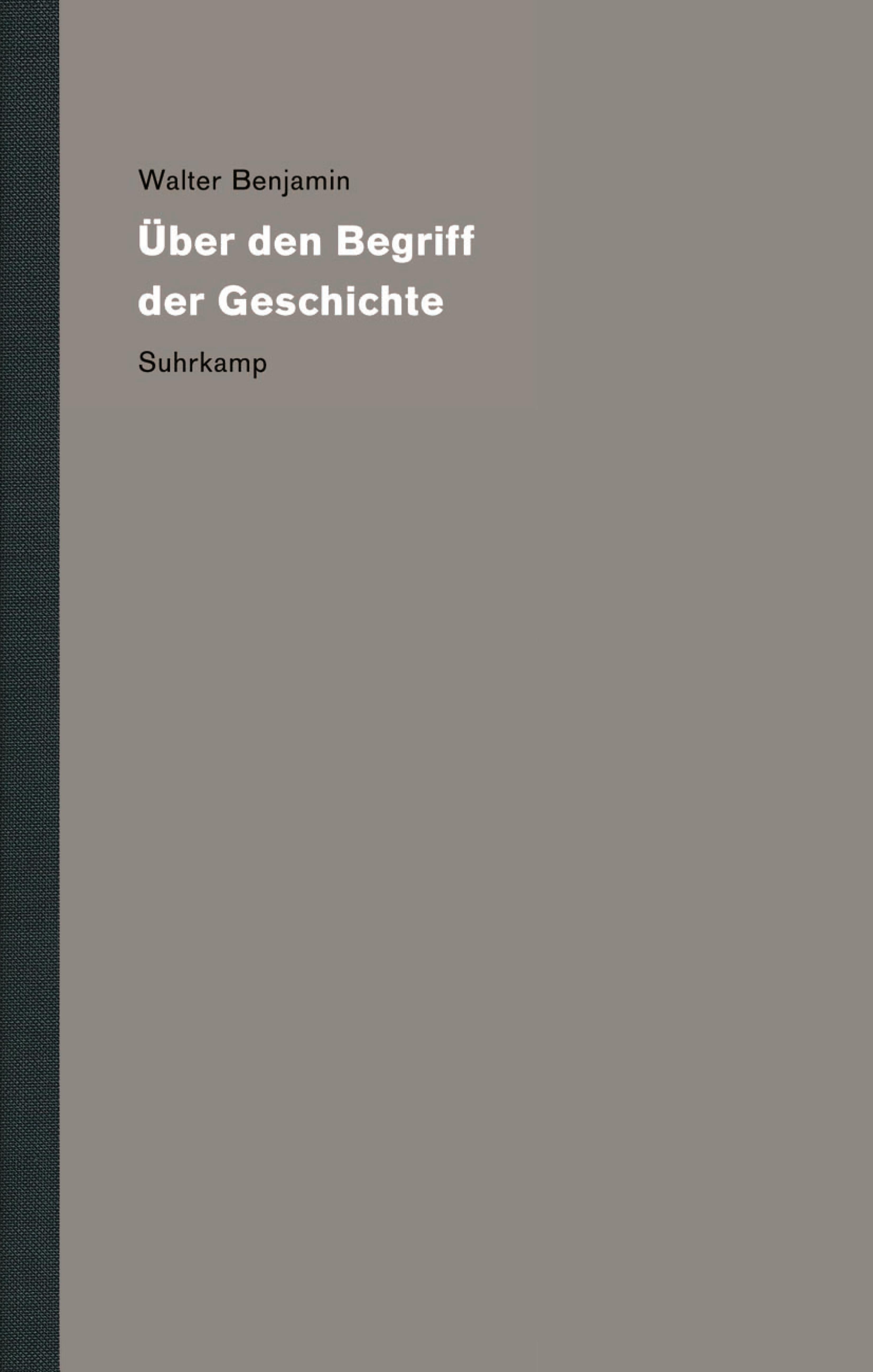 Werke und Nachlaß. Kritische Gesamtausgabe 19