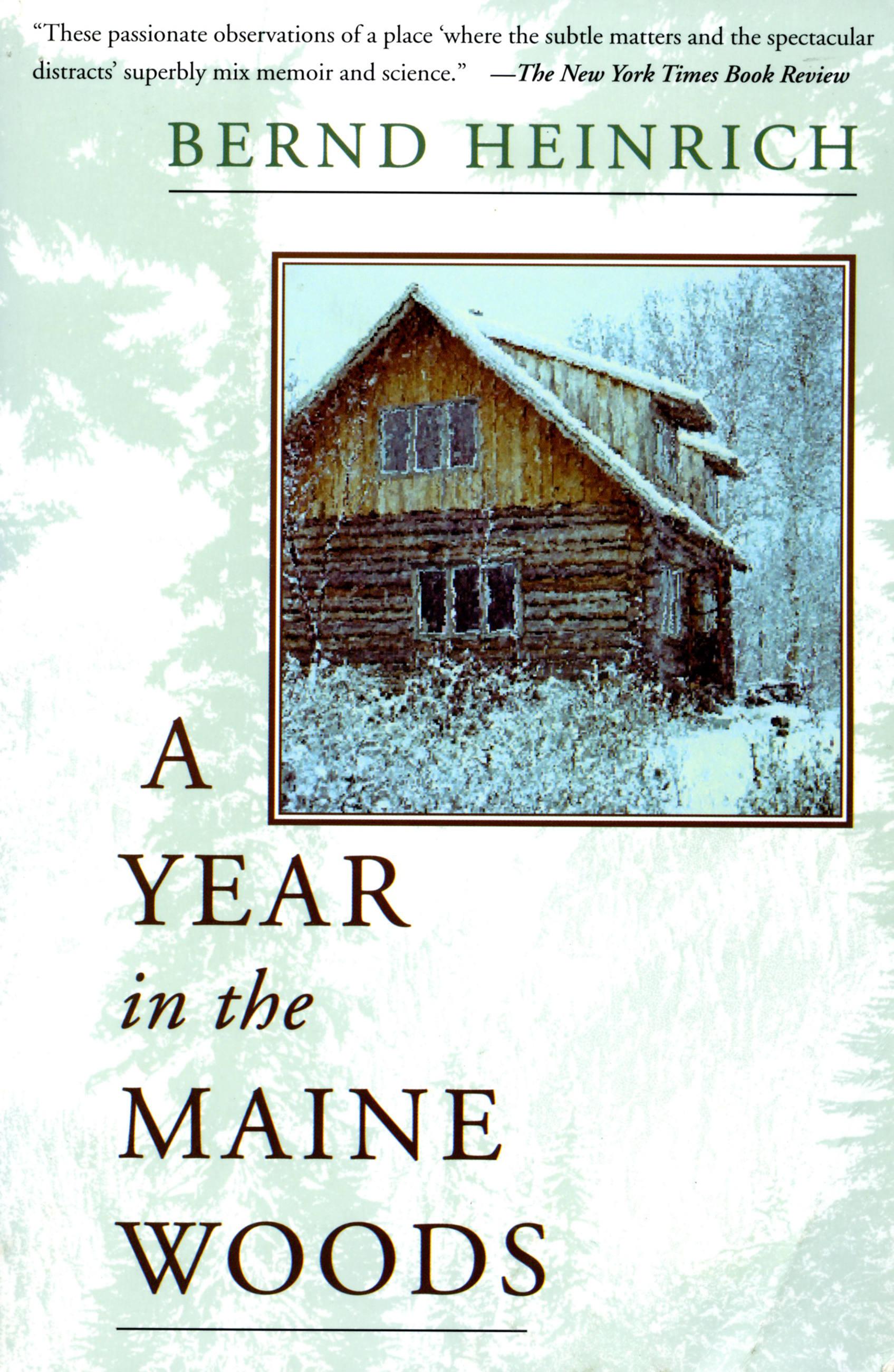 A Year in the Maine Woods