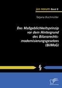 Das Maßgeblichkeitsprinzip vor dem Hintergrund des Bilanzrechtsmodernisierungsgesetzes (BilMoG)