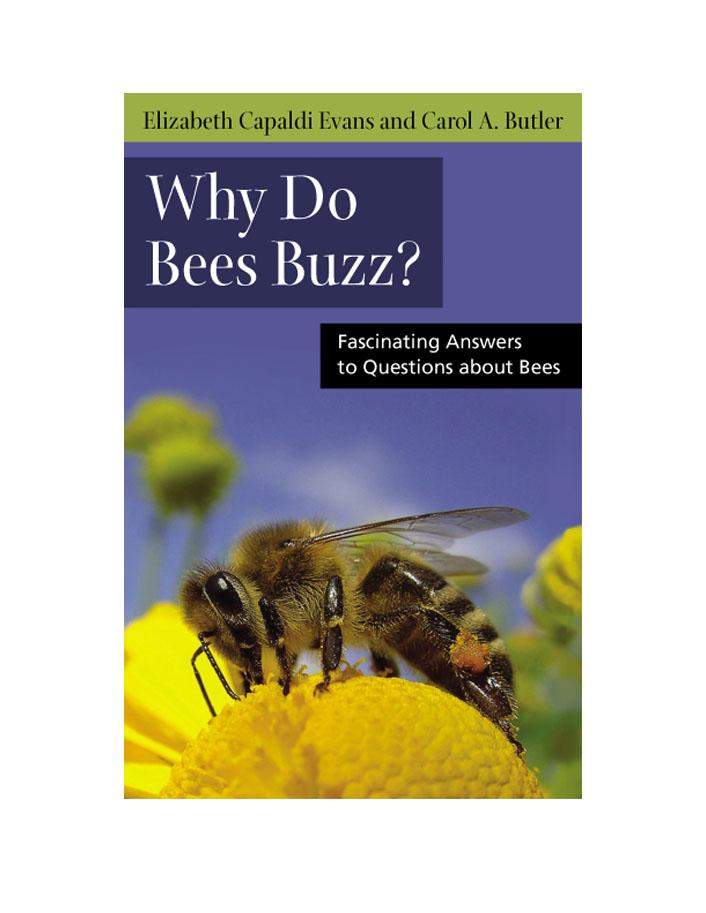 Why Do Bees Buzz?