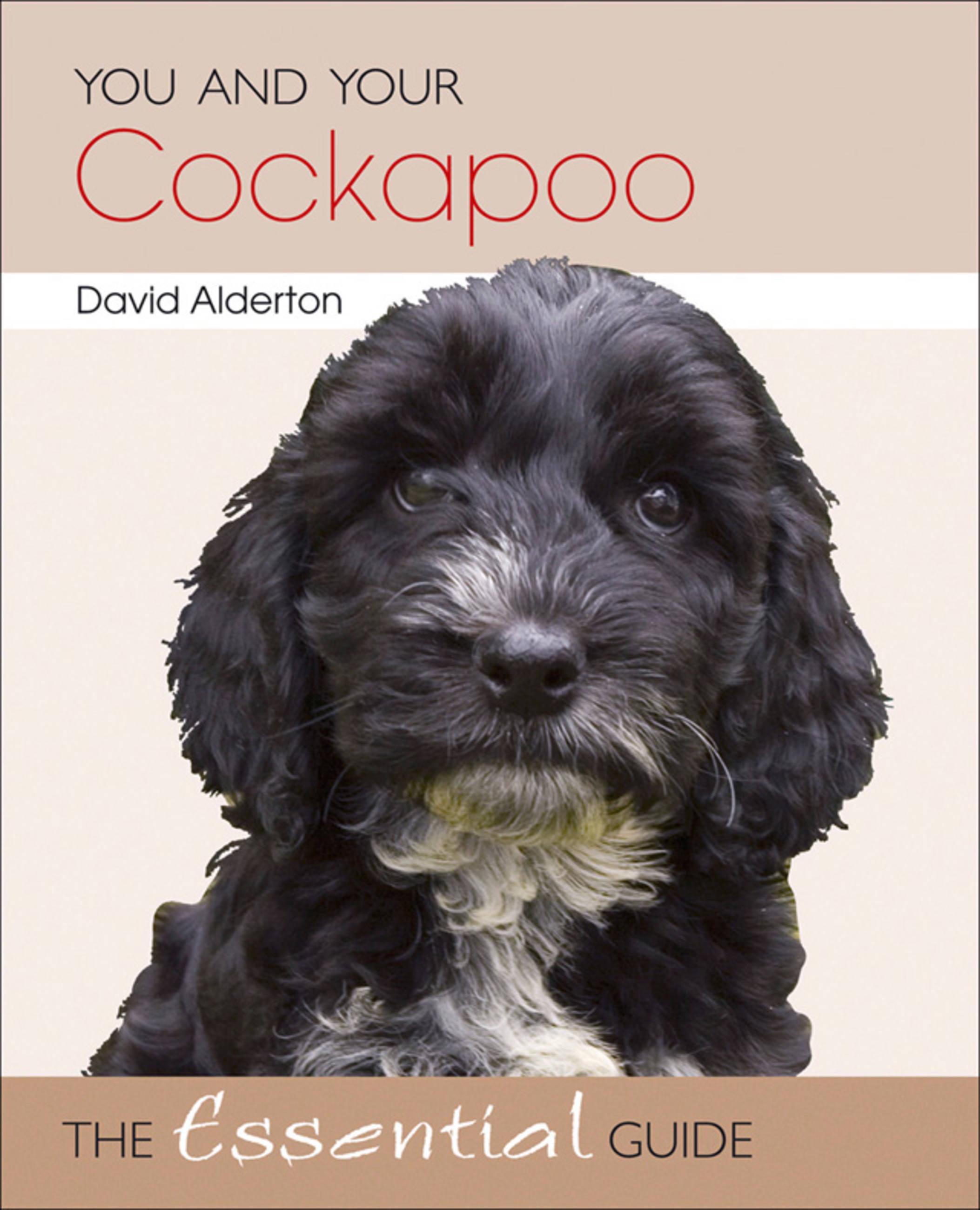 You and Your Cockapoo