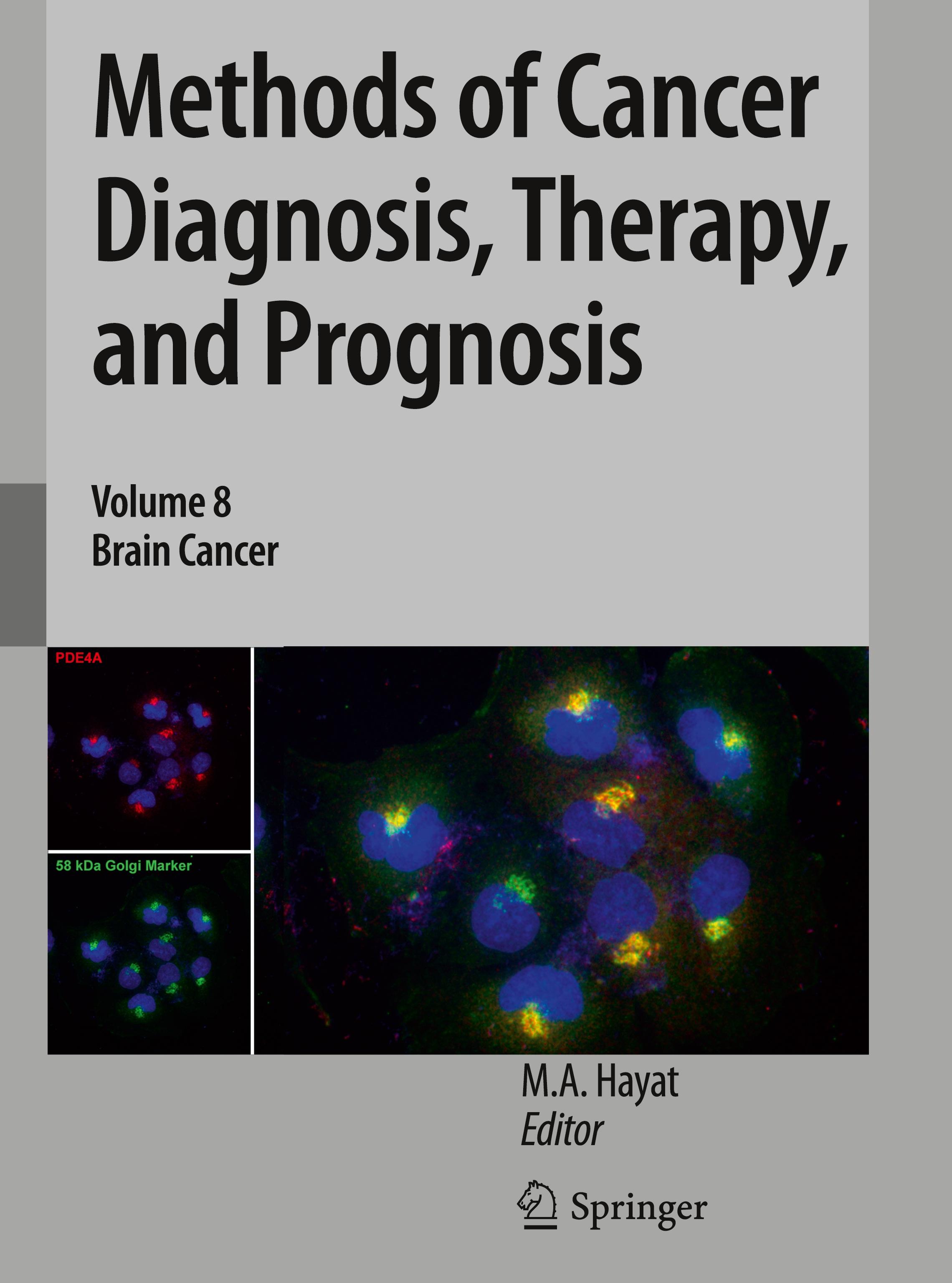 Methods of Cancer Diagnosis, Therapy, and Prognosis