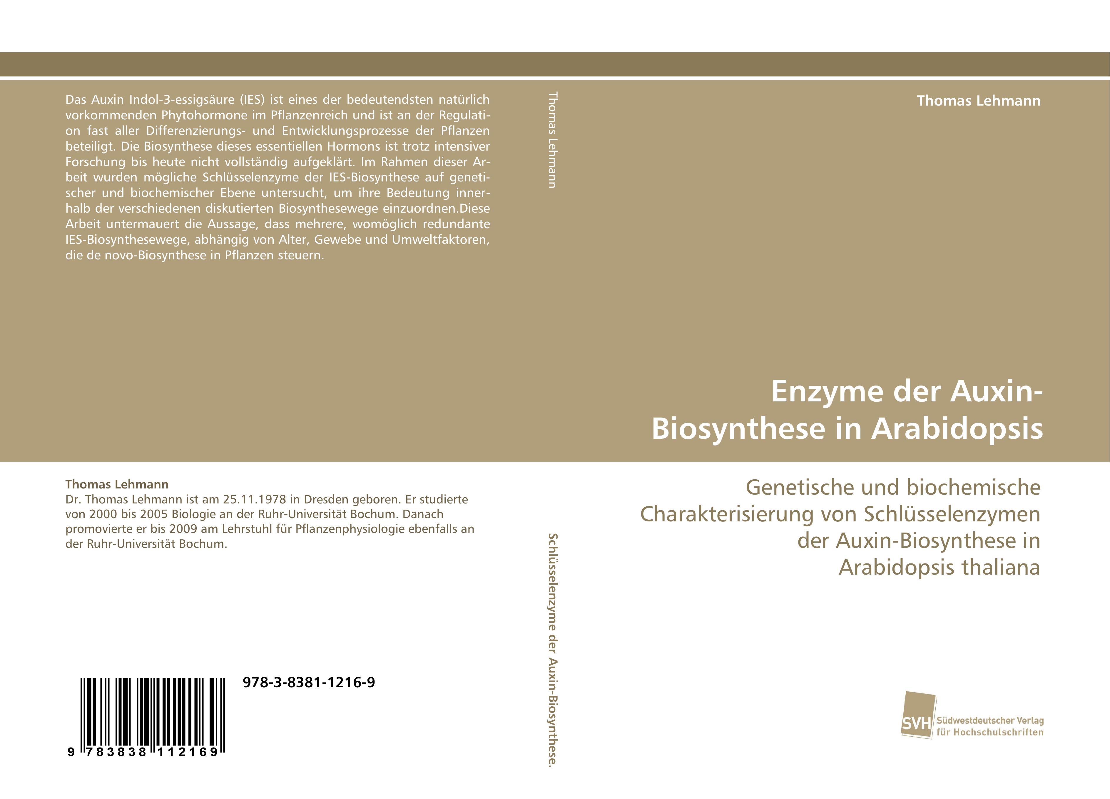 Enzyme der Auxin-Biosynthese in Arabidopsis