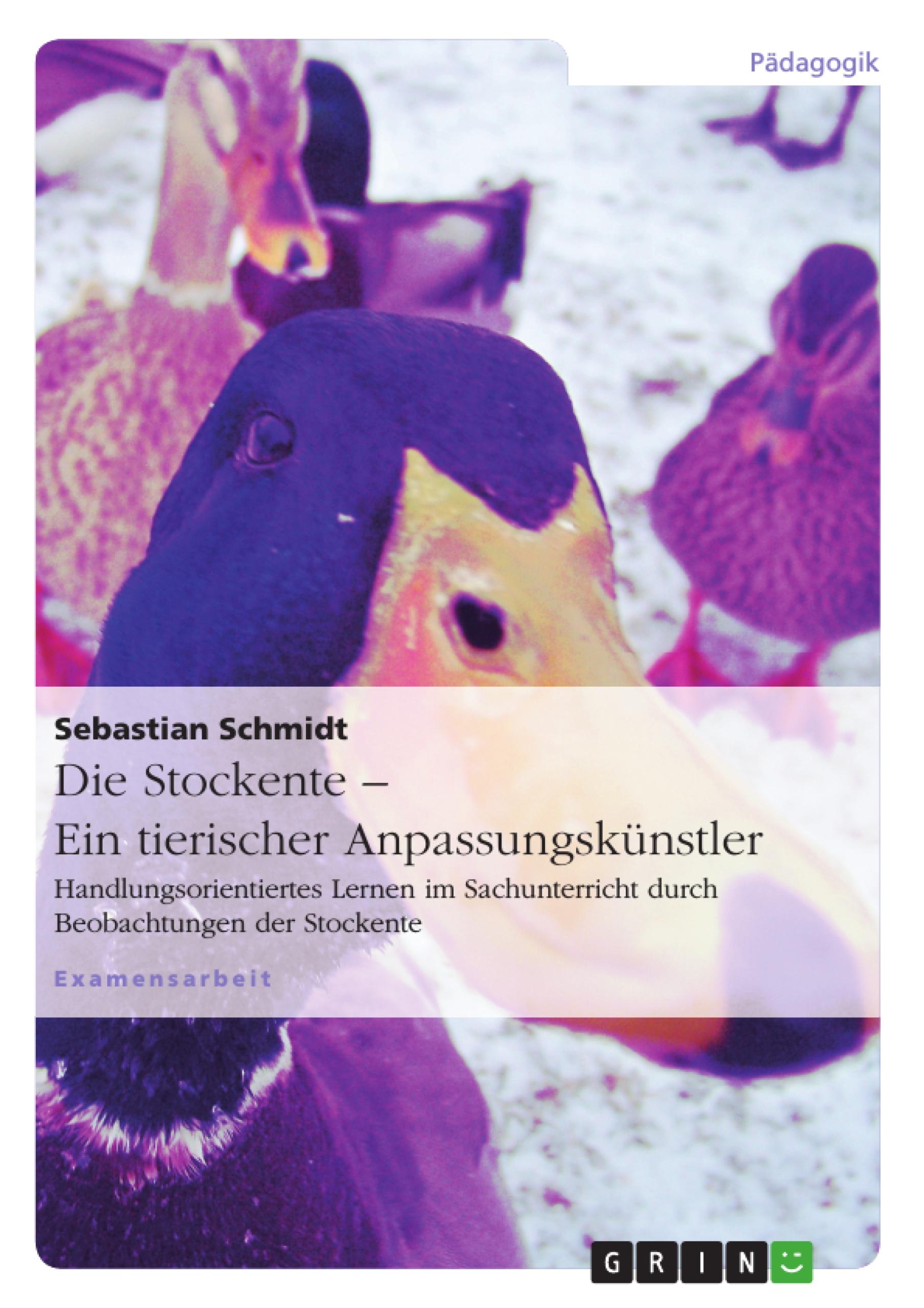 Die Stockente ¿ ein tierischer Anpassungskünstler