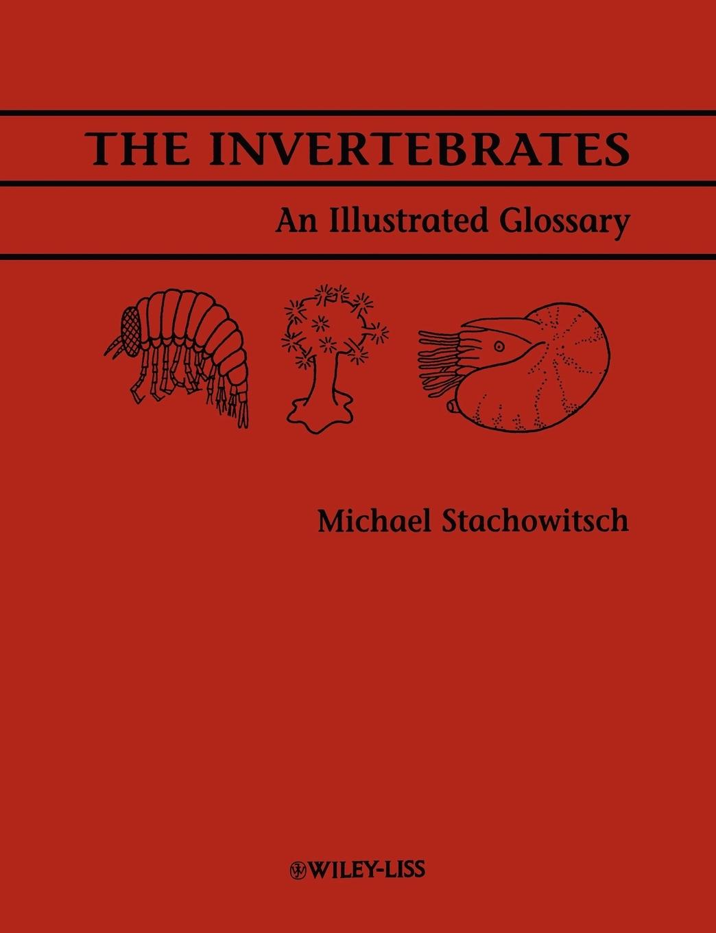 The Invertebrates