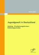 Jugendgewalt in Deutschland