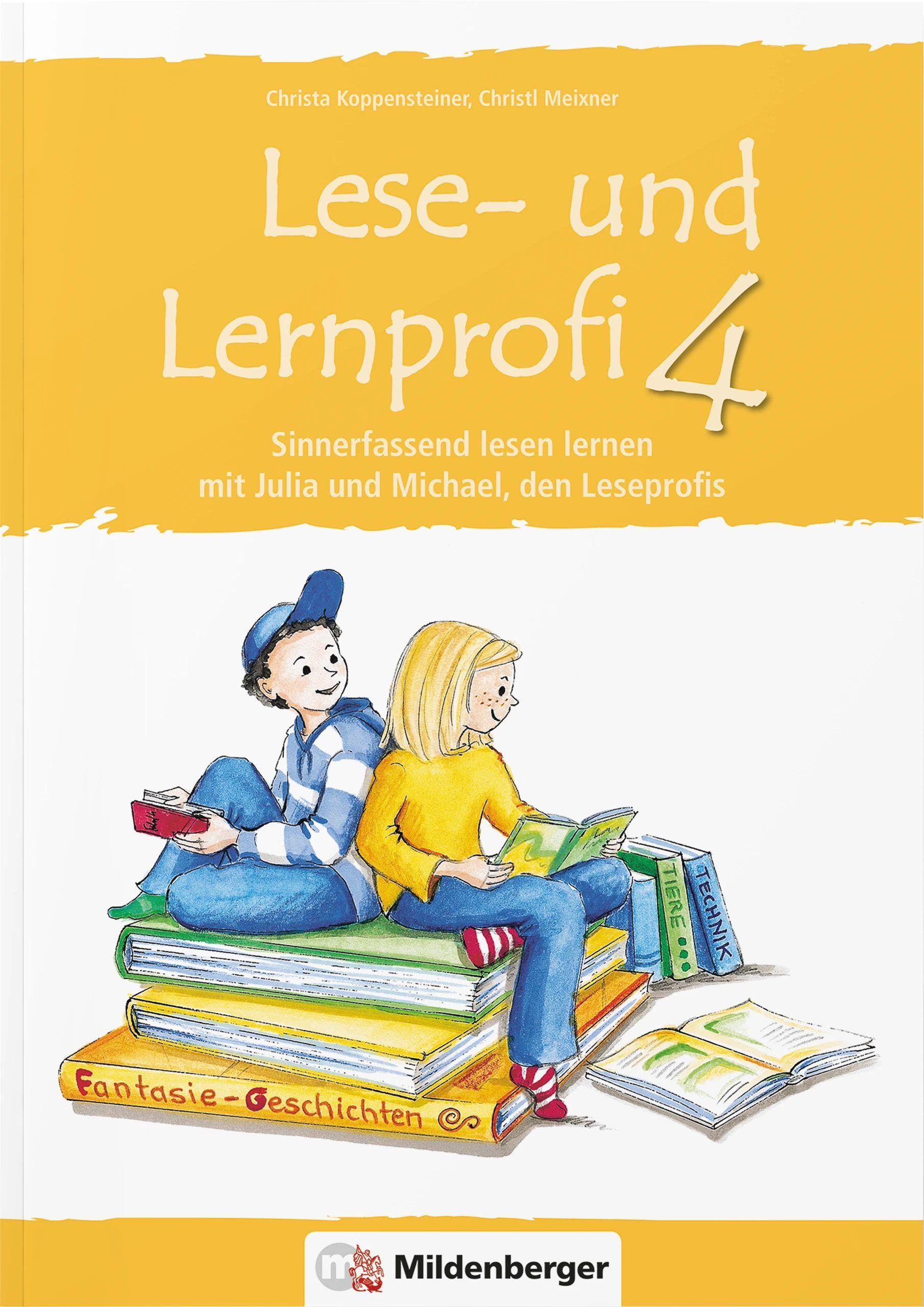 Lese- und Lernprofi 4