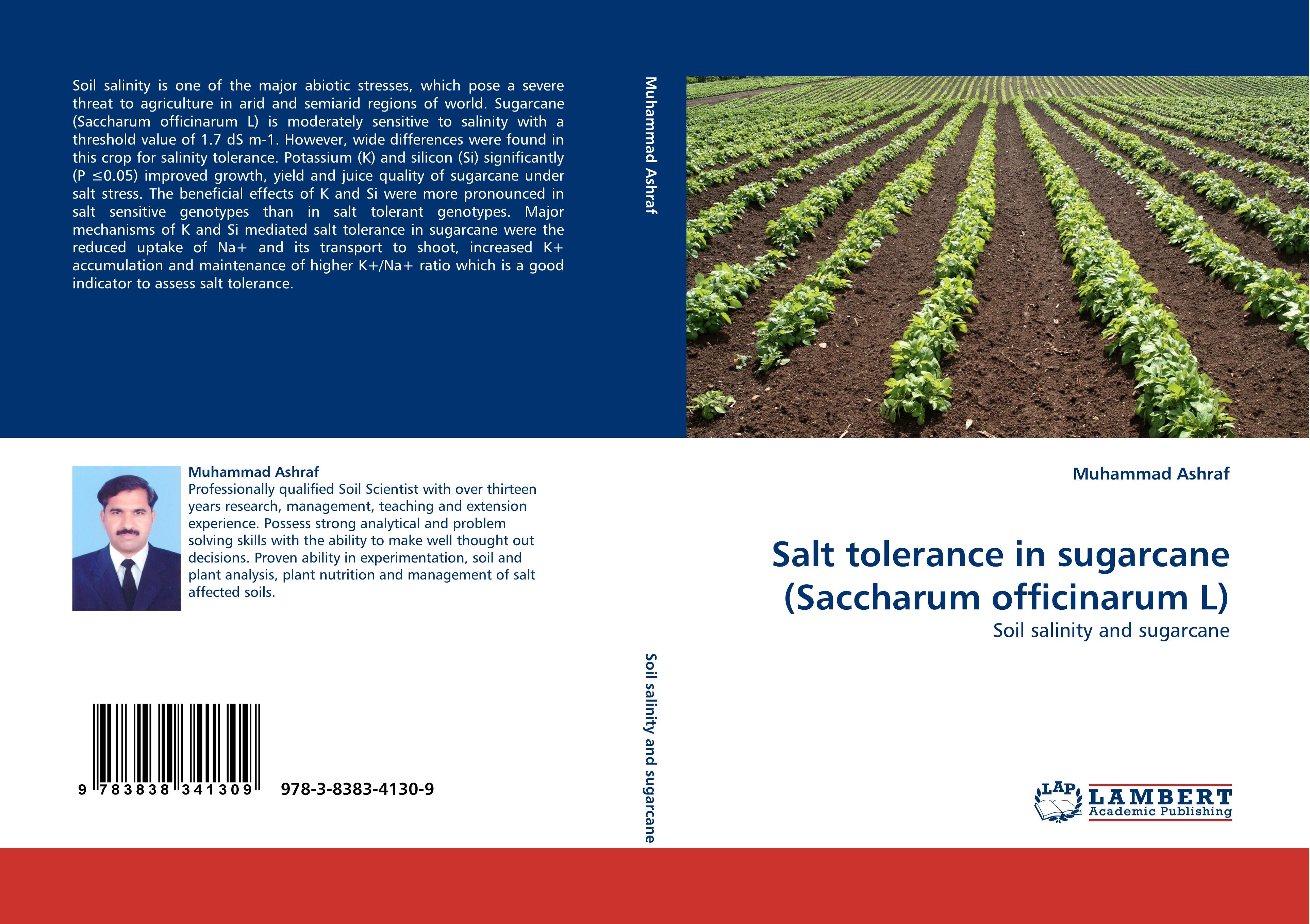 Salt tolerance in sugarcane (Saccharum officinarum L)