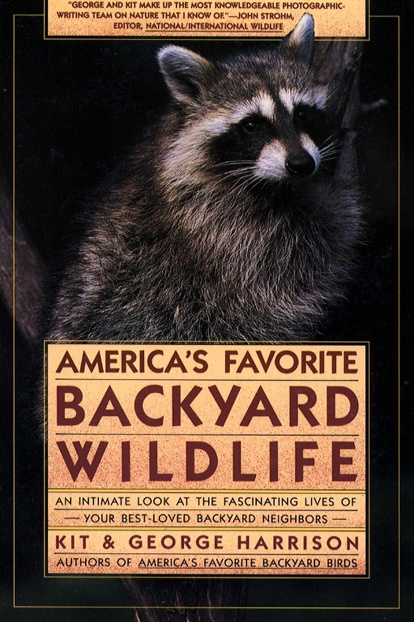 America's Favorite Backyard Wildlife