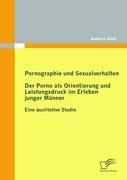 Pornographie und Sexualverhalten: Der Porno als Orientierung und Leistungsdruck im Erleben junger Männer