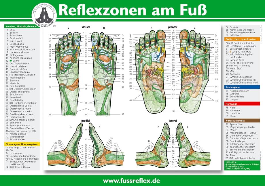 Reflexzonen am Fuß (2 Tafeln A4)