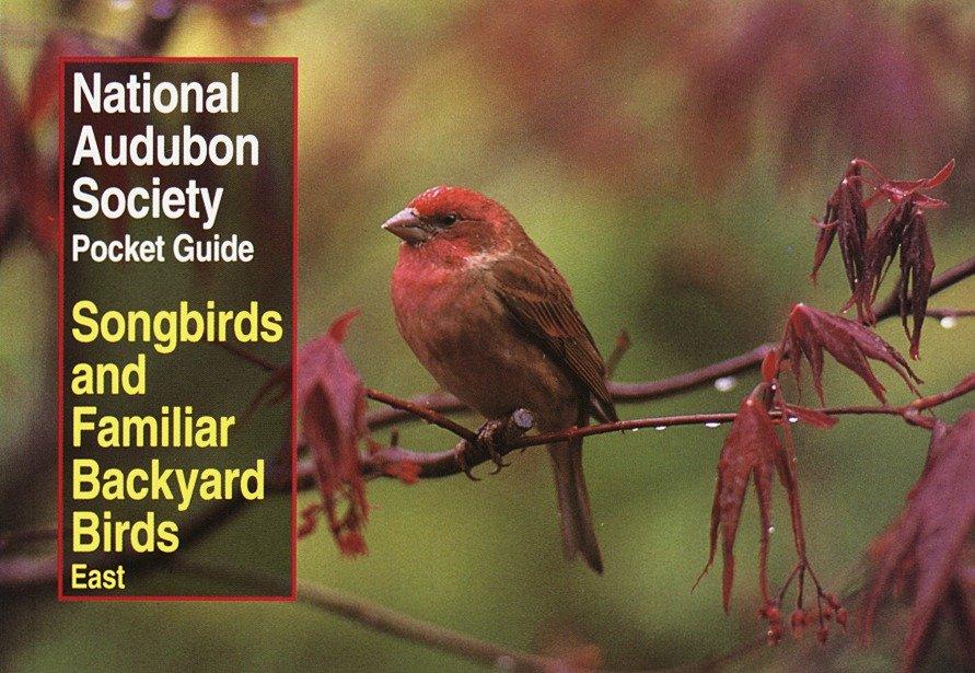 National Audubon Society Pocket Guide to Songbirds and Familiar Backyard Birds: Eastern Region: East