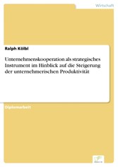 Unternehmenskooperation als strategisches Instrument im Hinblick auf die Steigerung der unternehmerischen Produktivität