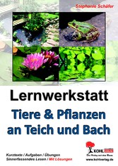 Lernwerkstatt Tiere &amp; Pflanzen an Teich und Bach