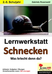 Lernwerkstatt Schnecken