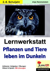 Lernwerkstatt Pflanzen und Tiere leben im Dunkeln