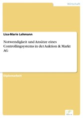 Notwendigkeit und Ansätze eines Controllingsystems in der Auktion & Markt AG