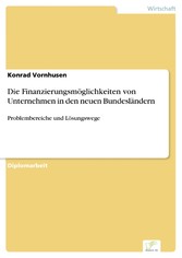 Die Finanzierungsmöglichkeiten von Unternehmen in den neuen Bundesländern