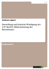 Darstellung und kritische Würdigung des § 87 BetrVG Mitbestimmung des Betriebsrates