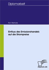 Einfluss des Emissionshandels auf die Strompreise