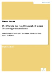 Die Prüfung der Kreditwürdigkeit junger Technologieunternehmen