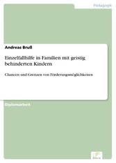 Einzelfallhilfe in Familien mit geistig behinderten Kindern