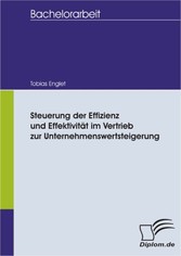 Steuerung der Effizienz und Effektivität im Vertrieb zur Unternehmenswertsteigerung