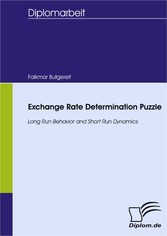 Exchange Rate Determination Puzzle - Long Run Behavior and Short Run Dynamics