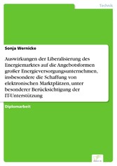 Auswirkungen der Liberalisierung des Energiemarktes auf die Angebotsformen großer Energieversorgungsunternehmen, insbesondere die Schaffung von elektronischen Marktplätzen, unter besonderer Berücksichtigung der IT-Unterstützung