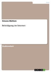 Beleidigung im Internet