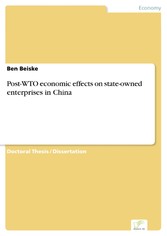 Post-WTO economic effects on state-owned enterprises in China