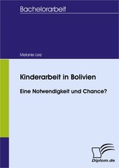 Kinderarbeit in Bolivien - Eine Notwendigkeit und Chance?