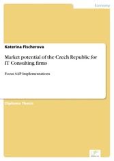 Market potential of the Czech Republic for IT Consulting firms