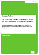 Die Gründung von Strombörsen als Folge der Liberalisierung des Elektrizitätssektors