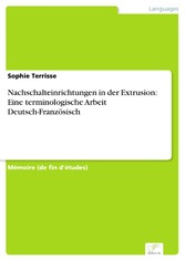 Nachschalteinrichtungen in der Extrusion: Eine terminologische Arbeit Deutsch-Französisch