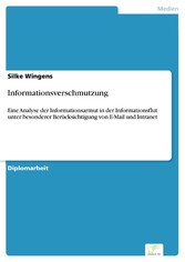 Informationsverschmutzung