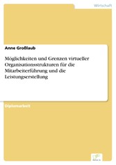 Möglichkeiten und Grenzen virtueller Organisationsstrukturen für die Mitarbeiterführung und die Leistungserstellung