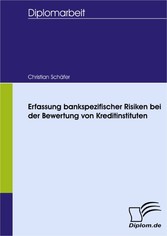 Erfassung bankspezifischer Risiken bei der Bewertung von Kreditinstituten