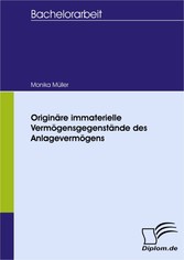 Originäre immaterielle Vermögensgegenstände des Anlagevermögens